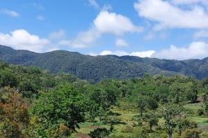 Banner image of a mountainous forest in Comoros