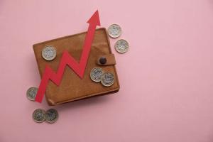 Picture of a wallet with coins and a red arrow going up on top of it