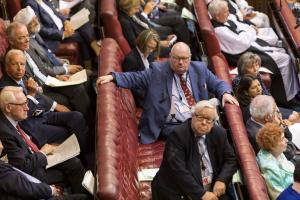 An image of a busy House of Lords