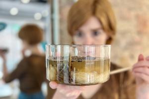 Person holding a bowl full of material from wetlands