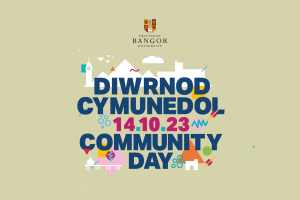 Logo for community day consisting of word community day with illustrations to represent Bangor landmarks and colourful doodles.