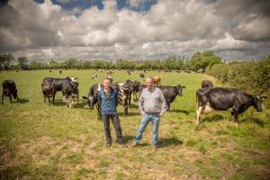 Two people standing in a field with dairy cows in the background