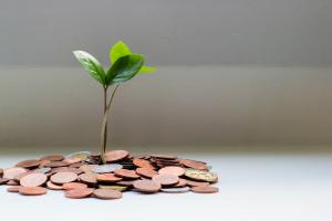 Tree growing out of coins on desk 