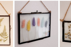 Pressed flowers in frames