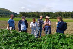 Group of people behind a crop of potatoes with trees and mountains in the background