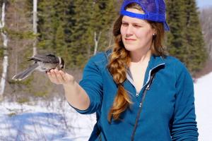 A bird feeding from the hand of Dr Nikole Freeman 