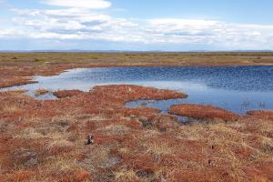 Image of land and a pond in the middle