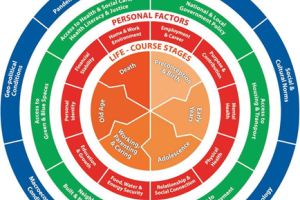 This infographic reflects an underlying concept of “the wheel of life”. The first concentric ring is red and reflects personal factors that determine or have an impact through the life-course on well-being and well-becoming. These are: employment and career; purpose and contribution; mental health; physical health; relationship and social connection; food , water and energy security; education and growth; personal identity; financial stability, and home and work environment. The second concentric ring is gr