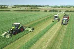 Harvesting grass in a field with three tractors