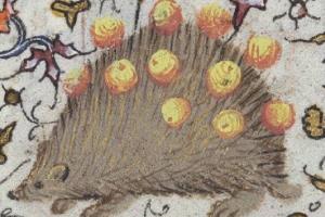 a Medieval imae of a hedgehog with spines piercing yellow balls 