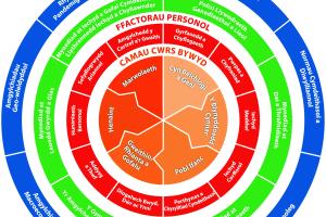 Mae'r ffeithlun hwn yn adlewyrchu cysyniad sylfaenol "olwyn bywyd". Mae'r cylch consentrig cyntaf yn goch ac yn adlewyrchu ffactorau personol sy'n pennu neu'n cael effaith trwy cwrs bywyd ar lesiant a lles. Y rhain yw: gyrfaoedd a chyflogaeth; pwrpas a chyfraniad; iechyd meddwl; iechyd corfforol; perthynas a chysylltiad cymdeithasol; diogelwch bwyd, dŵr a ynni, addysg a thwf; hunaniaeth bersonol; sefydlogrwydd ariannol, ac amgylchedd y cartref a’r gwaith. Mae'r ail gylch consentrig yn wyrdd ac yn adlewyrchu