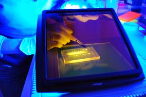 Person working in a biotechnology lab