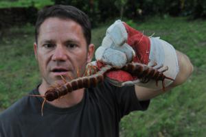 Picture of Steve Backshall holding a snake
