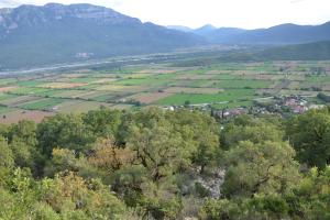 A view of flat agricultural land from a higher aforested area