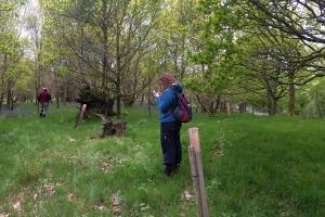  wide angle image of woodland