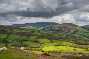 Hills and fields of Mid Wales