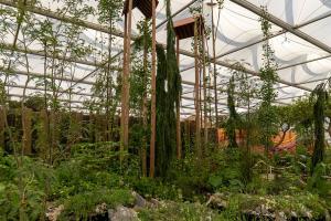 Picture of a garden at Chelsea Flower Show