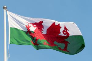 welsh flag
