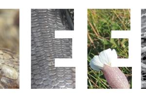 MEEB logo