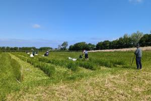 Scientists working in an agricultral field