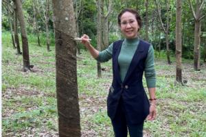 Latex production in Thailand