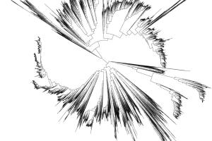 big_phylogeny