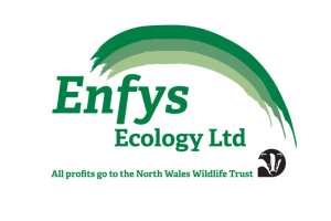 Enfys Ecology Ltd logo