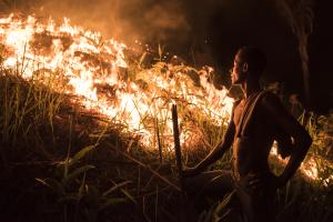 A man stood by some burning vegetation, he is lite by the bright orange flames of the fire.