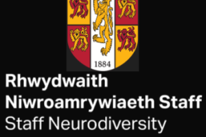 Logo Rhwydwaith Niwroamrywiaeth Prifysgol Bangor Sgwar