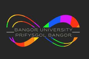Bangor University Neurodivergent Network Logo