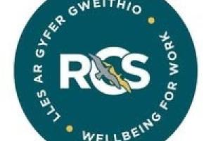 RCS Hero Image