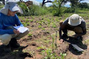 Two students kneeling in the soil with tools and plants, taking notes in a notebook