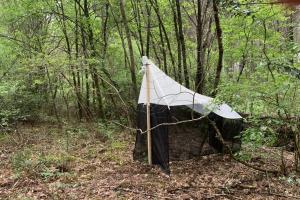 Malaise trap in a woodland setting