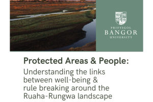 Tanzania research brief front cover