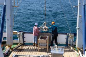 Fishing vessel 