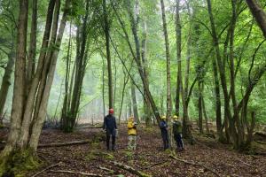 Photo of research team standing at Lady Park Wood