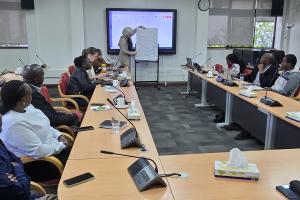 Birgit Habberman making a presentation during the Nairobi Workshop