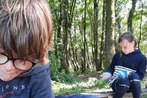 Llun o blant yn chwarae yn y goedwig