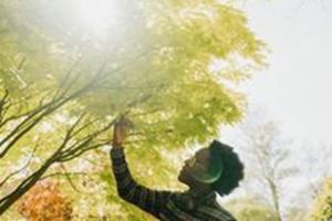 Image of a person reaching up to a tree in the daytime