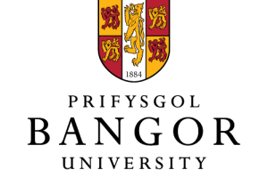 Bangor University Logo
