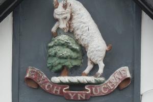 Arfau gyda gafr a choeden ac arwyddair 'Ewch yn Uchaf'