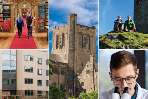 Bangor Fund allocation news