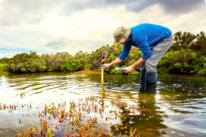 Environmental field measurements