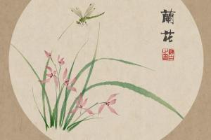 Chinese painting-orchids