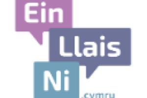 Logo Ein Llais Ni