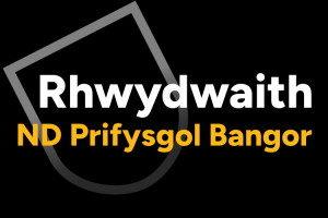 Background Du hefo ysgrifennu gwyn yn son am Rhydwaith Neurodiverse Prifysgol Bangor