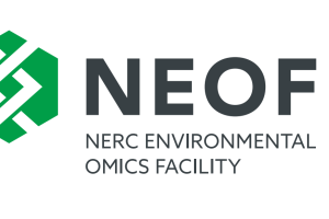 NEOF_logo_2
