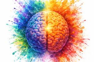 Image of a brain with the right side painted in orange and the left side painted in blue and green
