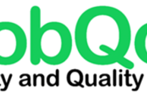 MobQoL logo