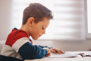 A young boy studying 